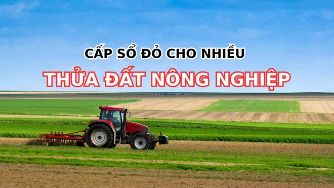 Cấp 1 sổ đỏ cho nhiều thửa đất n&ocirc;ng nghiệp được kh&ocirc;ng?