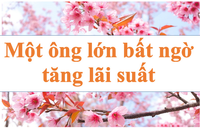 Một ông lớn bất ngờ tăng lãi suất. Ảnh minh họa: Hà Vy
