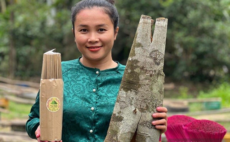 Trang Thị Hồng Thúy ở Quảng Ngãi với sản phẩm nhang sạch làm từ vỏ quế. Ảnh: Viên Nguyễn