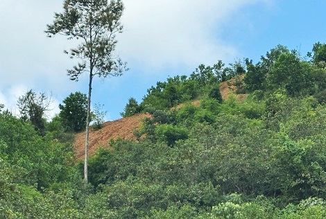 Đồi đất nguy cơ sạt lở. Ảnh: Nguyễn Quân 