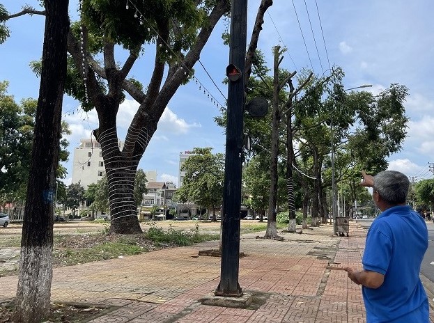 Trees in Buon Ma Thuot City were pruned by the power company, causing frustration for people. Photo: Bao Trung