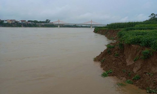 Bờ Sông Lô ở Vĩnh Phúc đang bị sạt lở nghiêm trọng. Ảnh: An Nhiên
