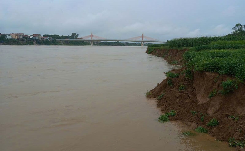 Bờ Sông Lô ở Vĩnh Phúc đang bị sạt lở nghiêm trọng. Ảnh: An Nhiên