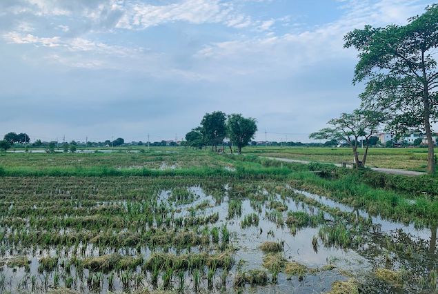 Thời điểm định giá đất là khi nào? Ảnh: Phương Anh