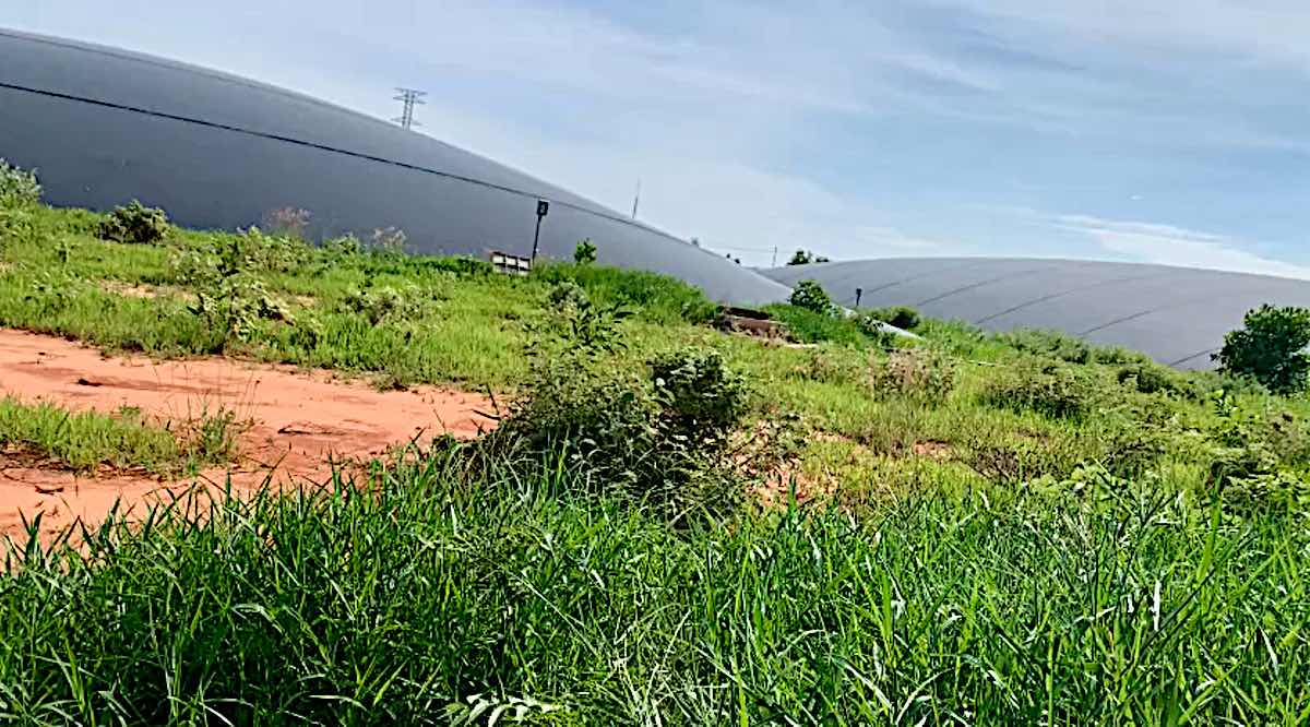 A corner of the pig farm of Vietnam Village Company Limited in Binh Thuan. Photo: Pham Duy