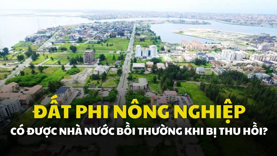 Đất phi nông nghiệp, một phần quan trọng trong quỹ đất quốc gia, đóng vai trò thiết yếu trong sự phát triển đô thị và công nghiệp hóa. Đồ họa: Quỳnh Anh