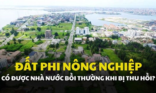 Đất phi nông nghiệp, một phần quan trọng trong quỹ đất quốc gia, đóng vai trò thiết yếu trong sự phát triển đô thị và công nghiệp hóa. Đồ họa: Quỳnh Anh