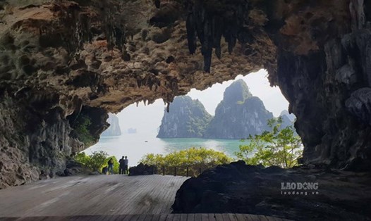 Ảnh: Nguyễn Hùng