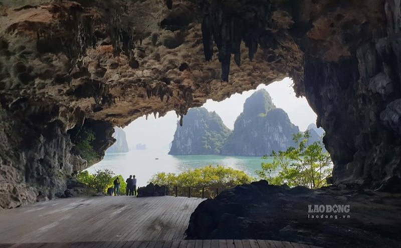 Ảnh: Nguyễn Hùng