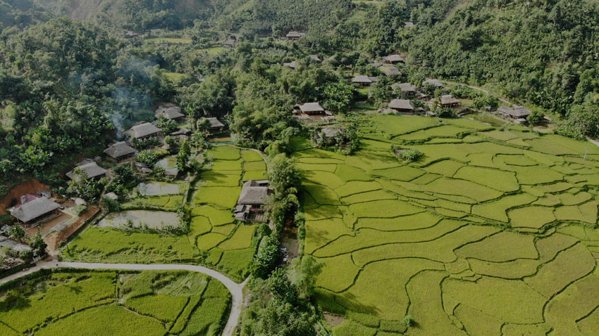 Standing high and looking down, Nghia Do is a beautiful basin with bold traditional colors