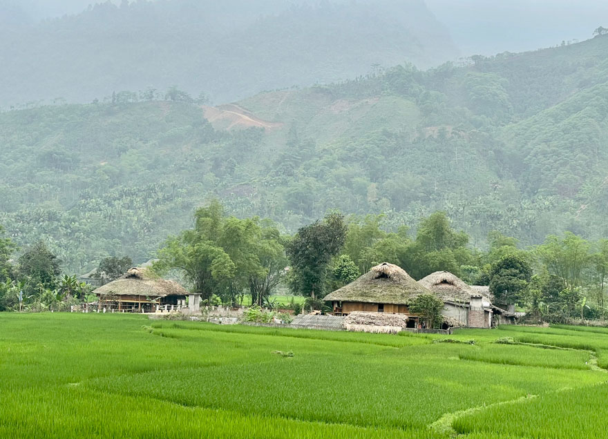 Traditional stilt houses look like giant mushrooms amidst the green of rice fields and fruit trees in the villages