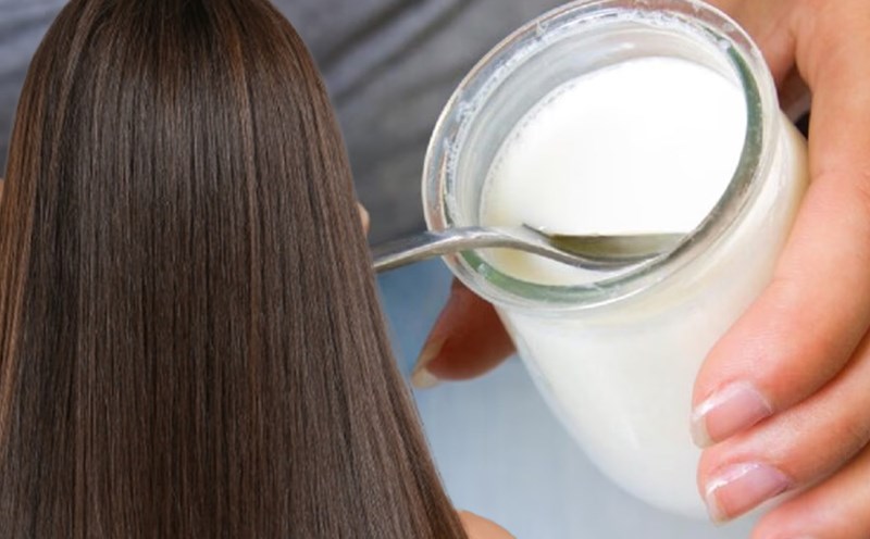 Lợi ích của probiotics đối với sự phát triển của tóc. Đồ hoạ: Thiện Nhân