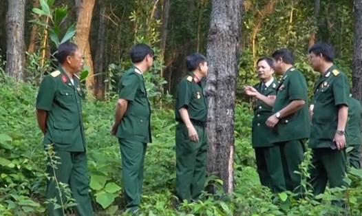 Thanh Hóa hiện có hơn 250 CLB Cựu chiến binh giúp nhau phát triển kinh tế. Ảnh: Trần Lâm