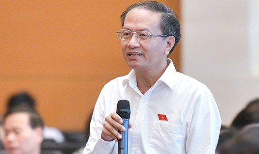 Đại biểu Quốc hội Đinh Ngọc Minh phát biểu ý kiến. Ảnh: Quốc hội