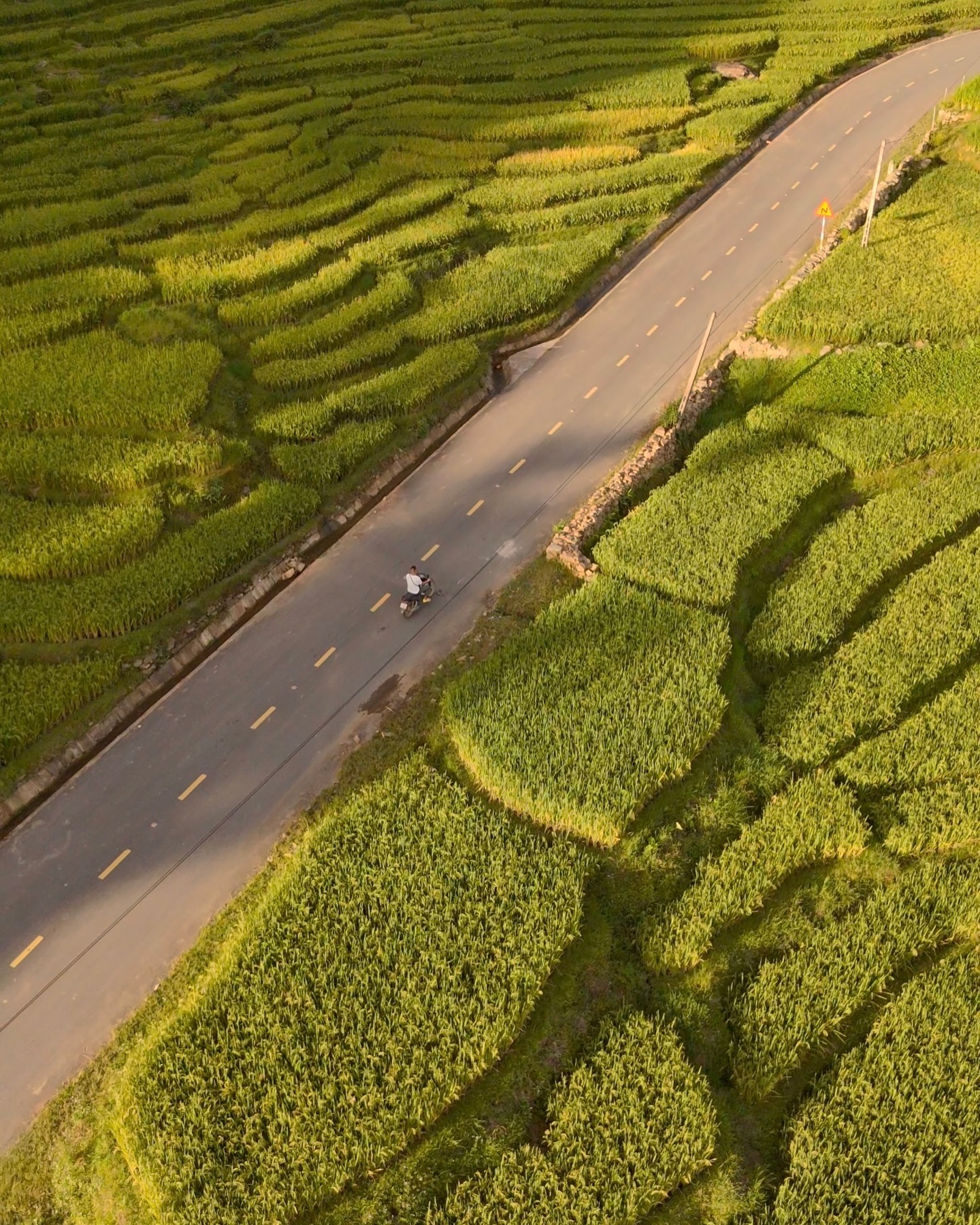 In addition to sightseeing, visitors can walk or trek around the terraced fields along the winding streams, immersing themselves in the living and working atmosphere of the Mong, Giay and Red Dao ethnic groups.  