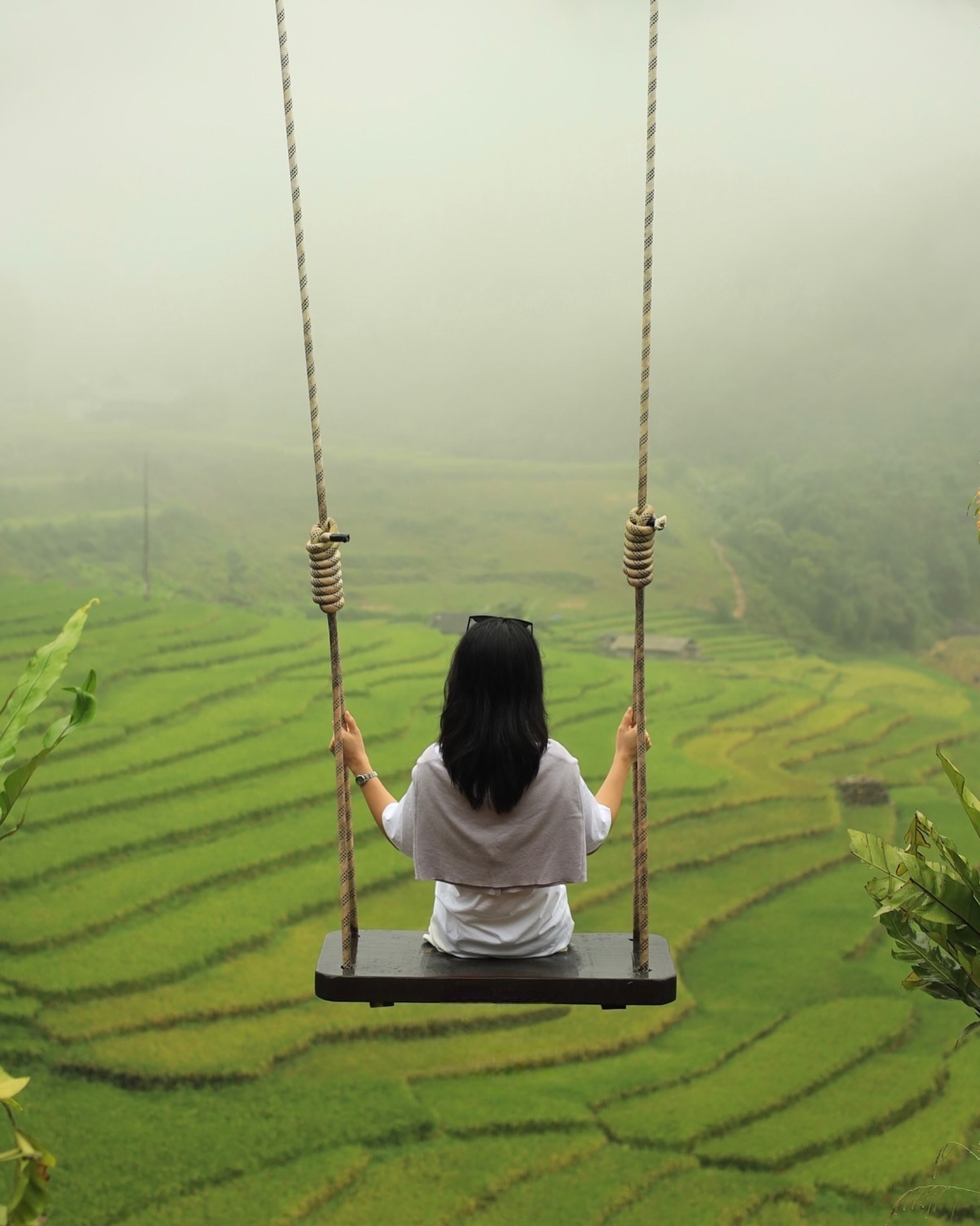 When arriving in Ta Van, the female tourist from Hanoi was impressed by the majestic and poetic natural scenery here. The scene stretching out before her eyes was a vast expanse of green terraced fields, faintly showing the golden color of ripe rice fields.