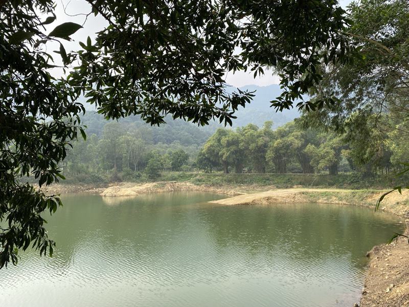 Open space at Ham Lon Lake.
