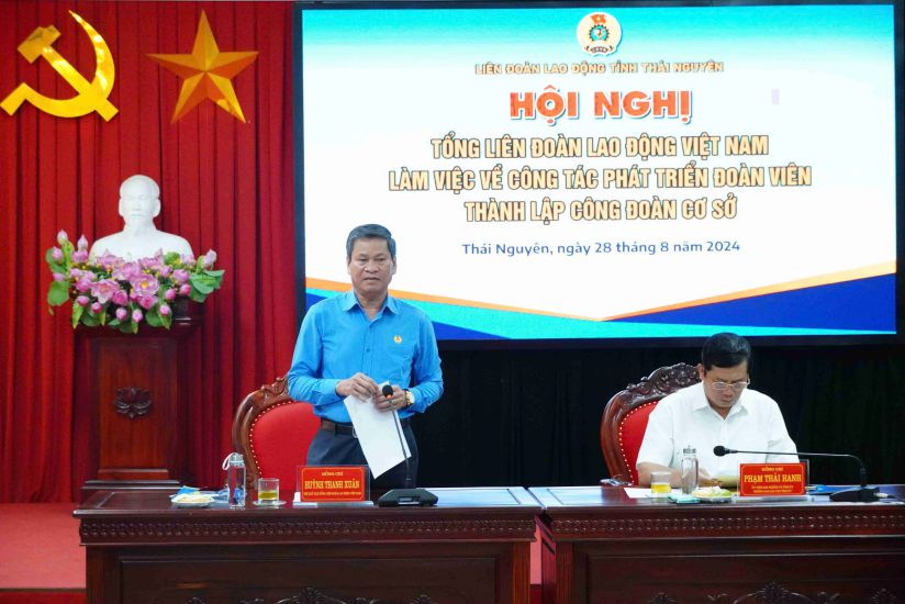 Phó Chủ tịch Tổng LĐLĐVN Huỳnh Thanh Xuân phát biểu tại hội nghị. Ảnh: Lam Thanh