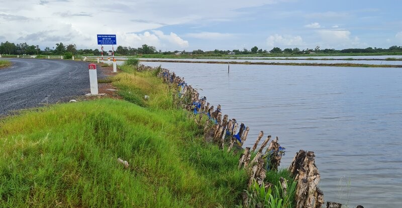 Tuyến đường ĐT 978, đoạn giao với Dự án cao tốc Hậu Giang - Cà Mau tại km79+820 thuộc địa bàn xã Vĩnh Lộc (huyện Hồng Dân, tỉnh Bạc Liêu) được sử dụng cát biển làm vật liệu đắp nền đường với chiều dài 300m giao cắt với tuyến cao tốc tại lý trình km79+820 - dự án thành phần Hậu Giang - Cà Mau. Trong thời gian thí điểm đường có dấu hiệu sạt xuống ao tôm của dân.