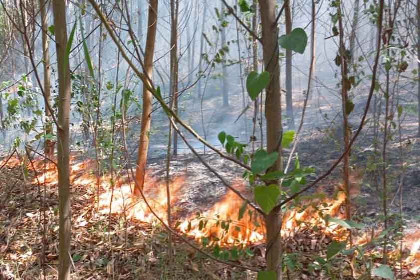 The hot sun and strong winds caused the fire to spread quickly. Photo: Tran Tuan.