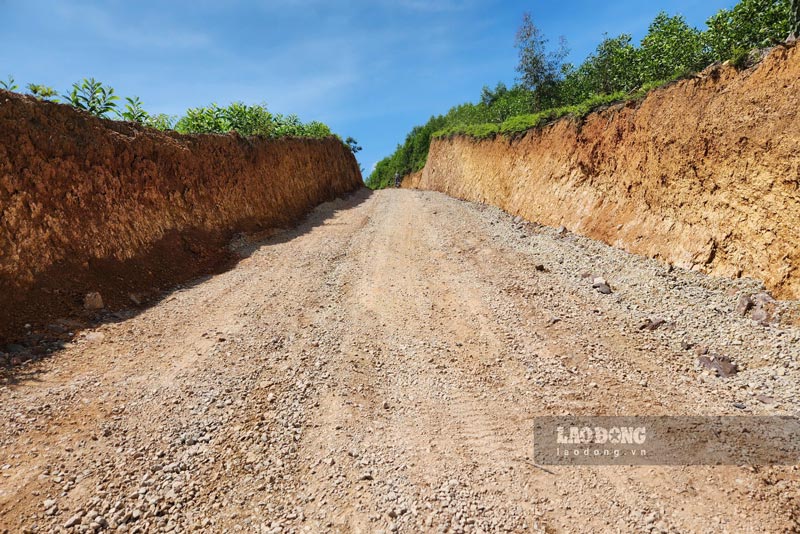 Đường dẫn vào trang trại lợn cũng là doanh nghiệp tự ý mua gom đất rừng sản xuất rồi thẳng tay san gạt, chưa thực hiện bất cứ bước chuyển đổi nào theo quy định. Ảnh: Tân Văn.