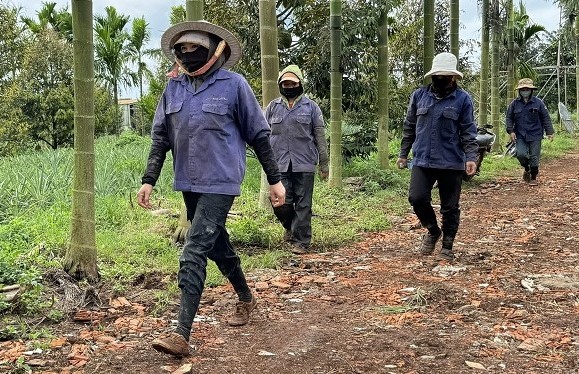 Many workers in Cu Bao commune have escaped poverty thanks to hard work and production. Photo: Bao Trung