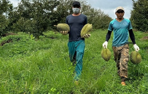 Thanks to stable salaries, workers work with a high sense of responsibility. Photo: Bao Trung