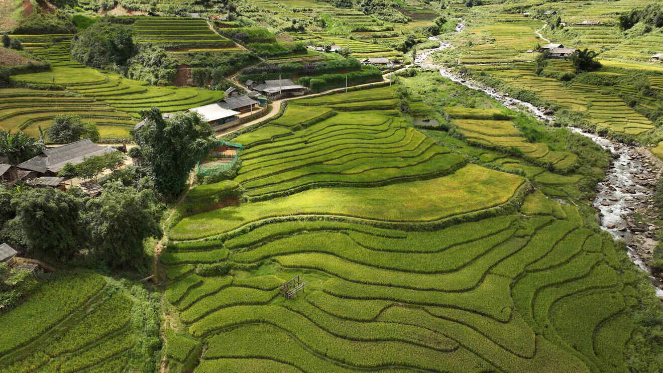 Những cánh đồng lúa tại xã Ngọc Chiến. Ảnh: Khánh Linh