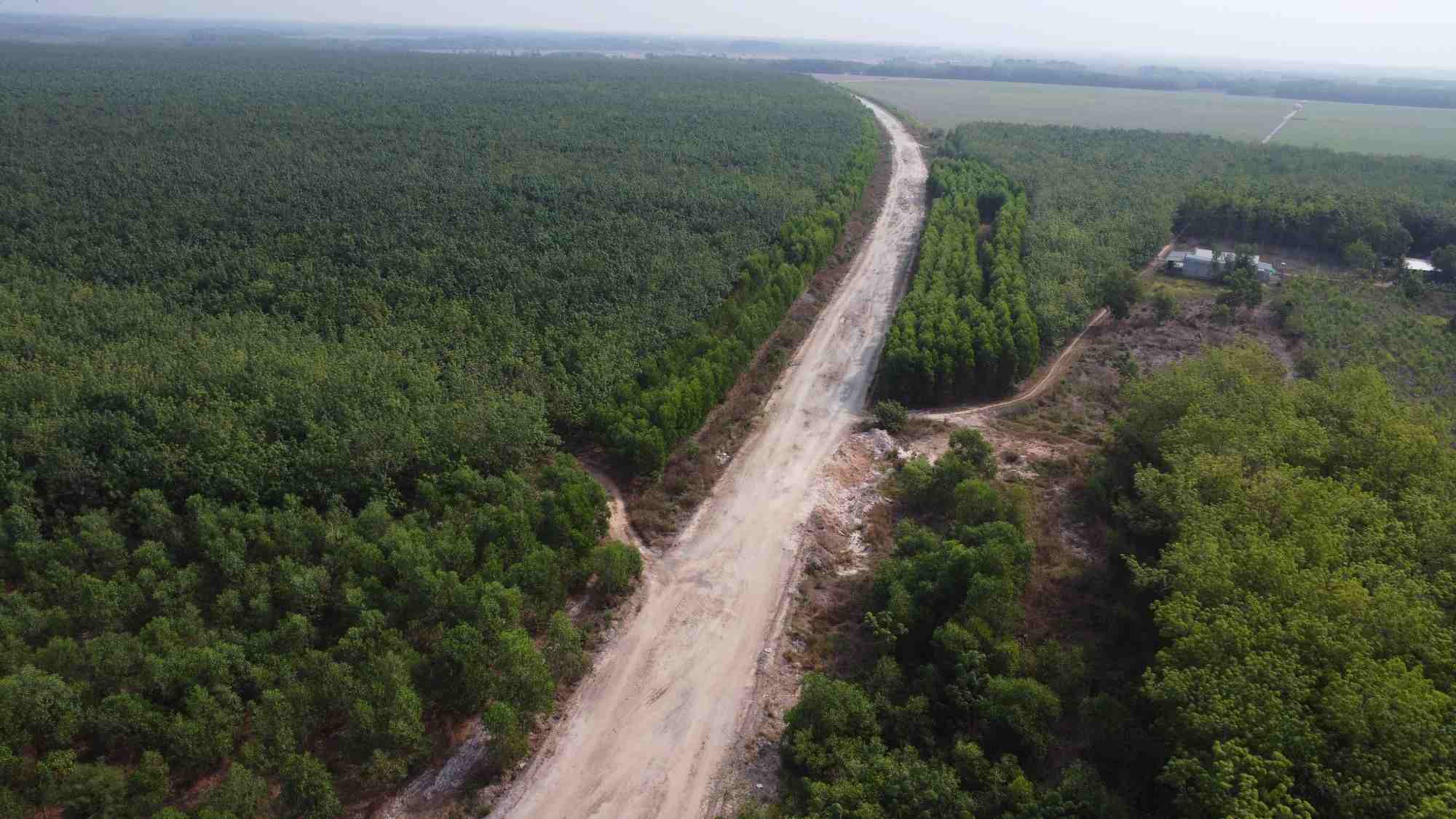 The route passes through vast rubber plantations. Photo: Dinh Trong