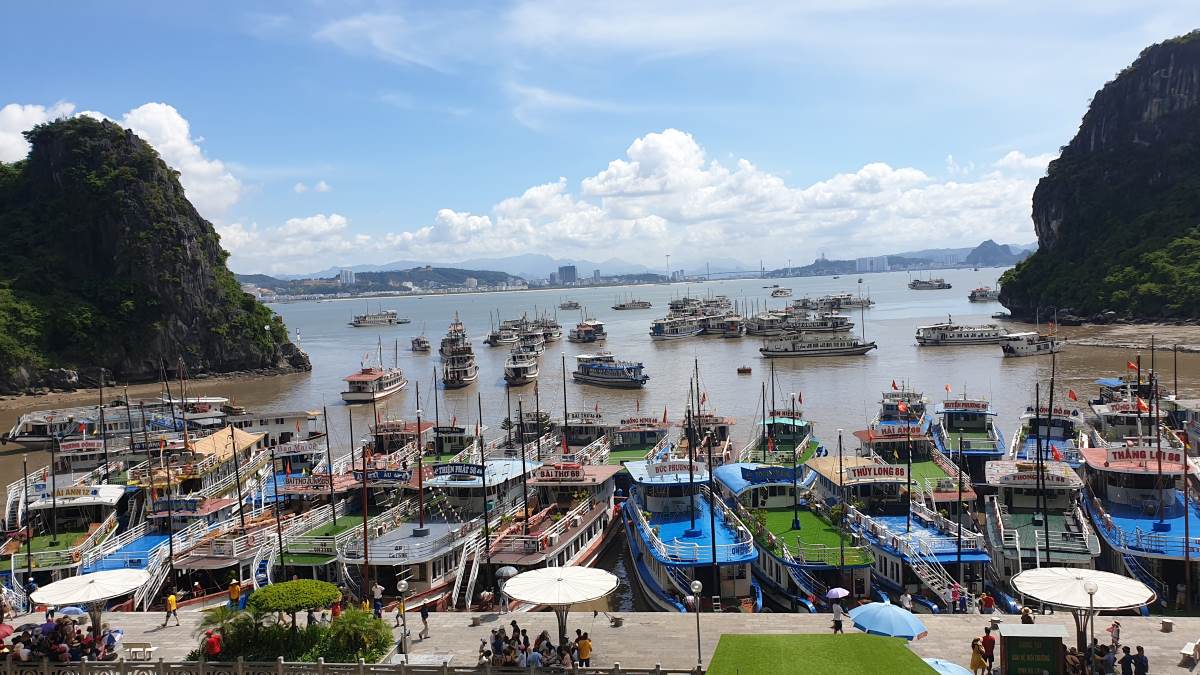 Các tàu tham quan ban ngày trên vịnh Hạ Long sẽ có thiết kế giống nhau. Ảnh: Nguyễn Hùng