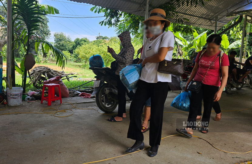 Theo tiết lộ của hàng xóm, ngày cao điểm thầy lang Minh Thế bán 600 túi thuốc, thu về 480 triệu đồng. Ảnh: Bảo Nguyên