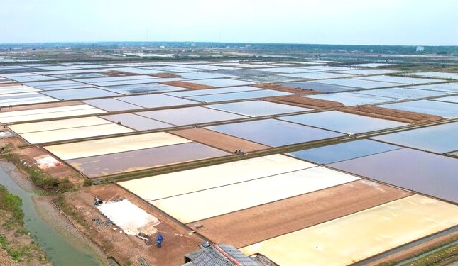 Bạc Liêu là tỉnh có diện tích sản xuất lớn nhất cả nước. Ảnh: Nhật Hồ