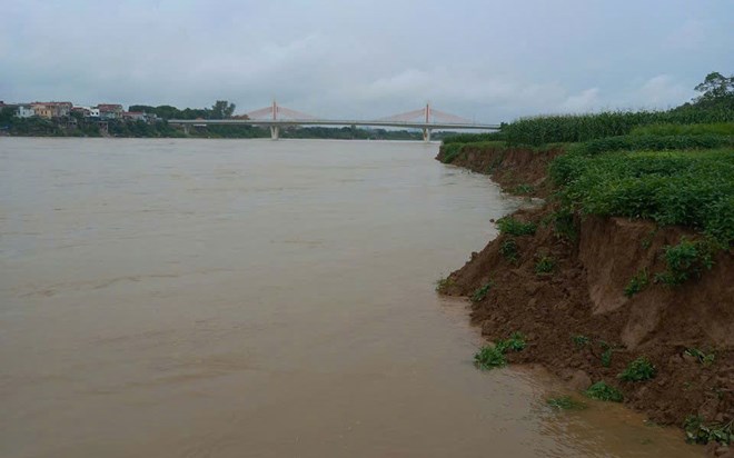 The banks of the Lo River in Vinh Phuc are seriously eroding. Photo: An Nhien