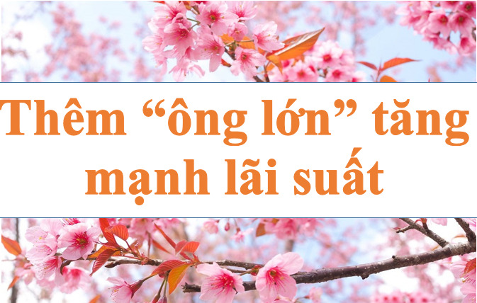 Thêm "ông lớn" ngân hàng tăng mạnh lãi suất. Ảnh minh họa: Hà Vy