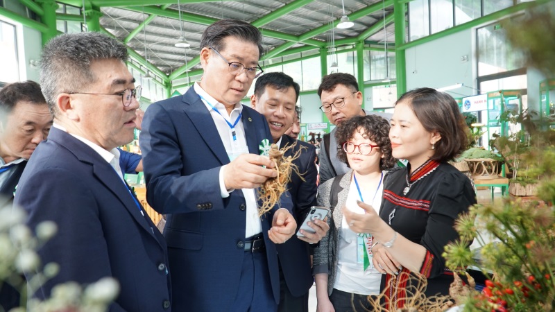 Korean tourist group visits and shops at Ngoc Linh Quang Nam ginseng festival 2024. Photo by Hoang Bin