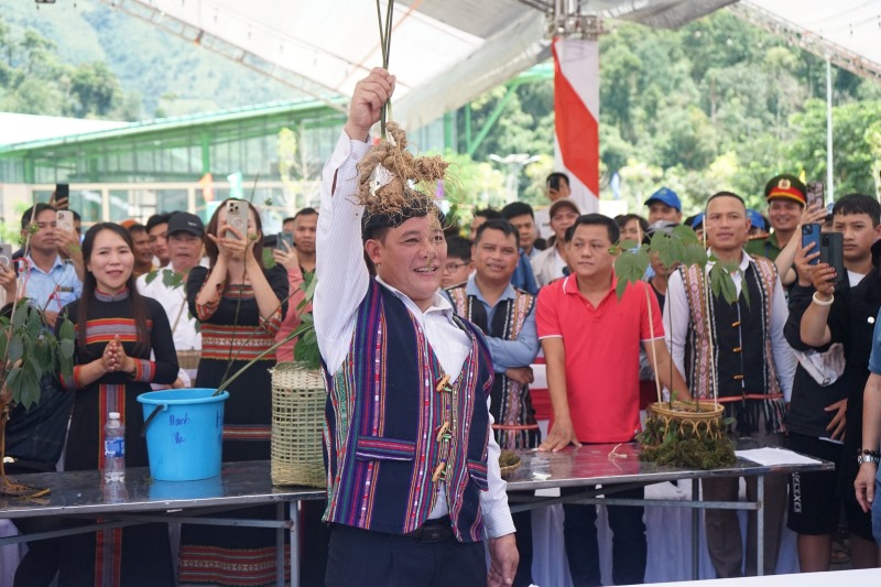 Dai Van Luong donated 3 ginseng roots to be auctioned for nearly 130 million VND, for the program to eliminate temporary housing in Nam Tra My district. BTC photo