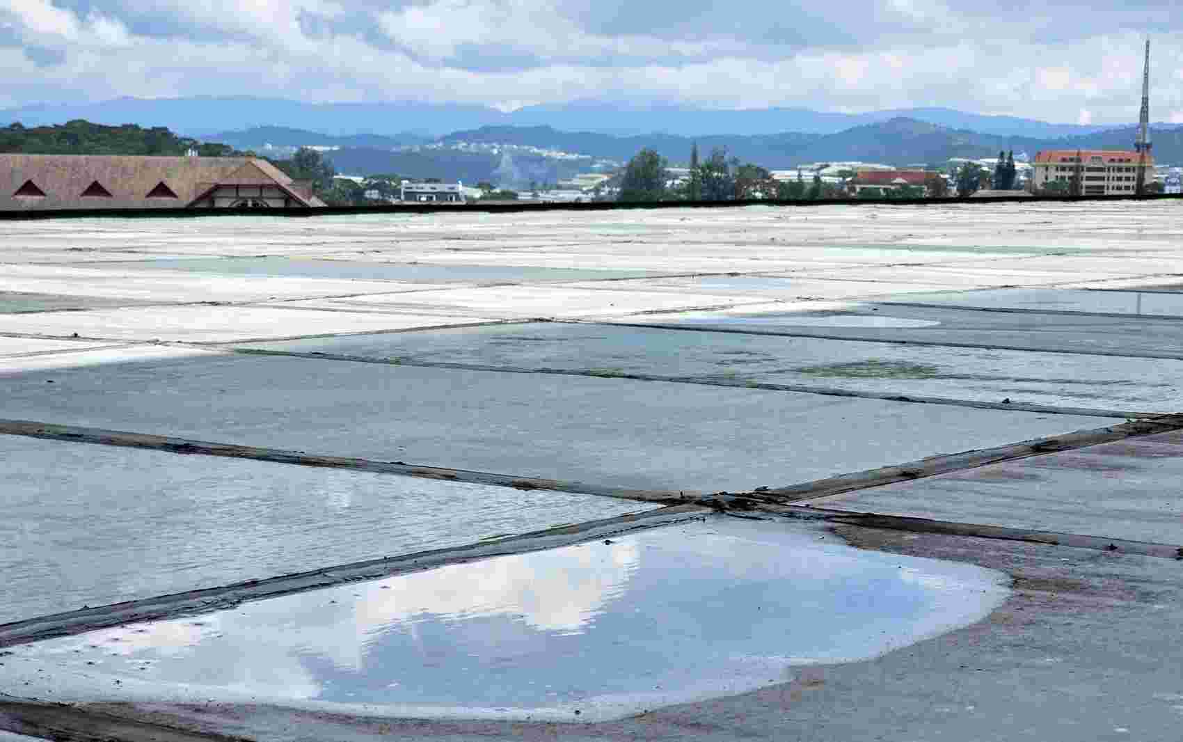 Water stagnates on the roof of the Lam Dong Provincial Administrative Center building. Photo: Nguyen Quan