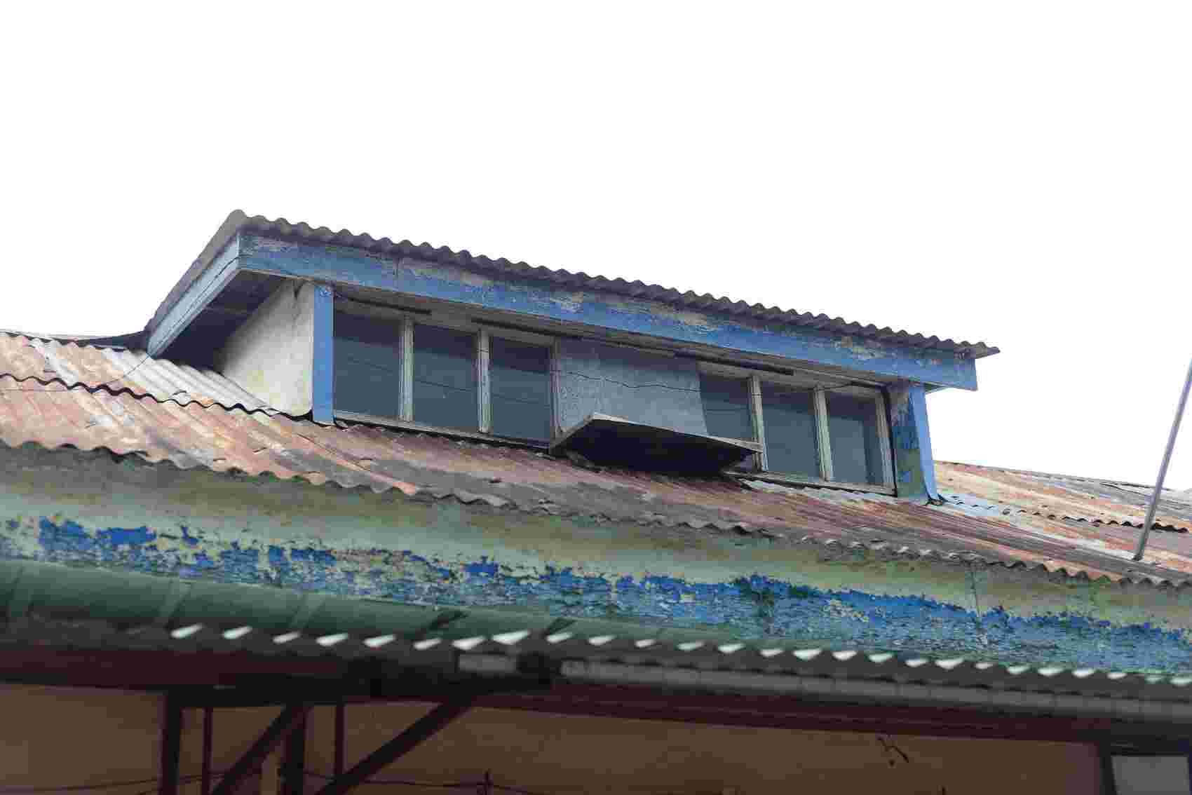 The roofs of many houses have discolored and rotted. Photo: Nguyen Quan