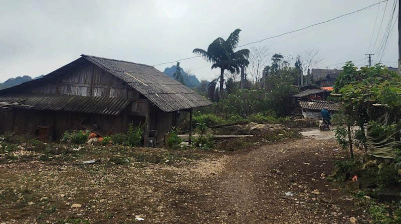 Một công nhân điện lực Lào Cai tử vong khi đang chặt tre để dọn dẹp hành lang lưới điện. Ảnh: NDCC