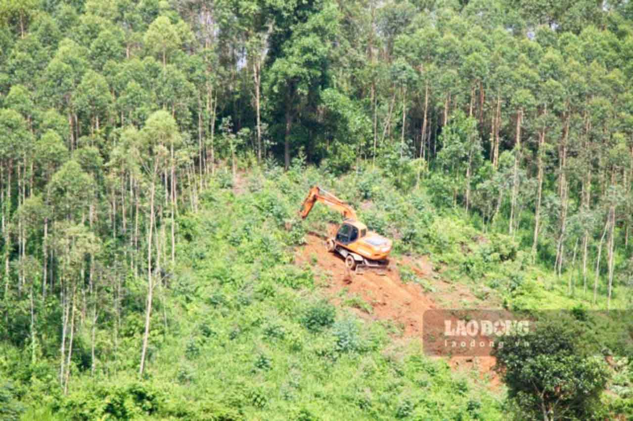 Production forests will gradually be replaced by factories in the future. When filled, Ho Son Industrial Park will create jobs for over 6,500 workers.