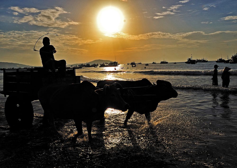 Buổi sáng ở biển.