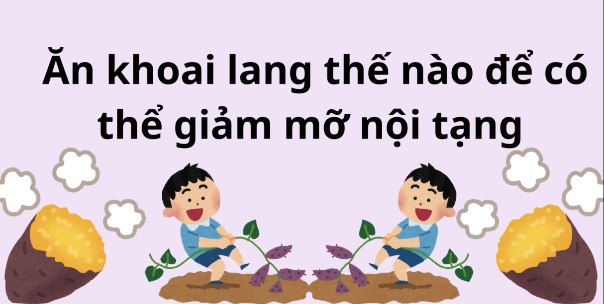 Ăn khoai lang thế nào để giảm mỡ nội tạng hiệu quả. Đồ hoạ: Hương Giang 