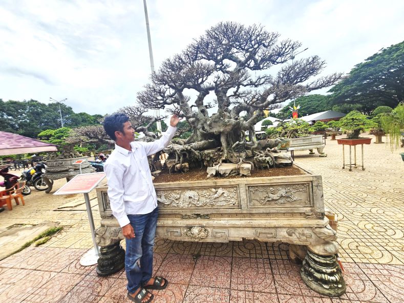 Anh Giỏi bên cây xanh Quần long phượng vũ. Ảnh: Thanh Quỳnh