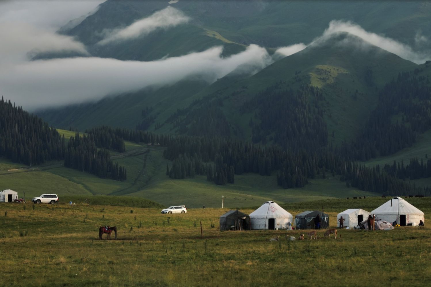Vẻ đẹp mơ màng của thảo nguyên Nalati. Ảnh: Hà Hiển