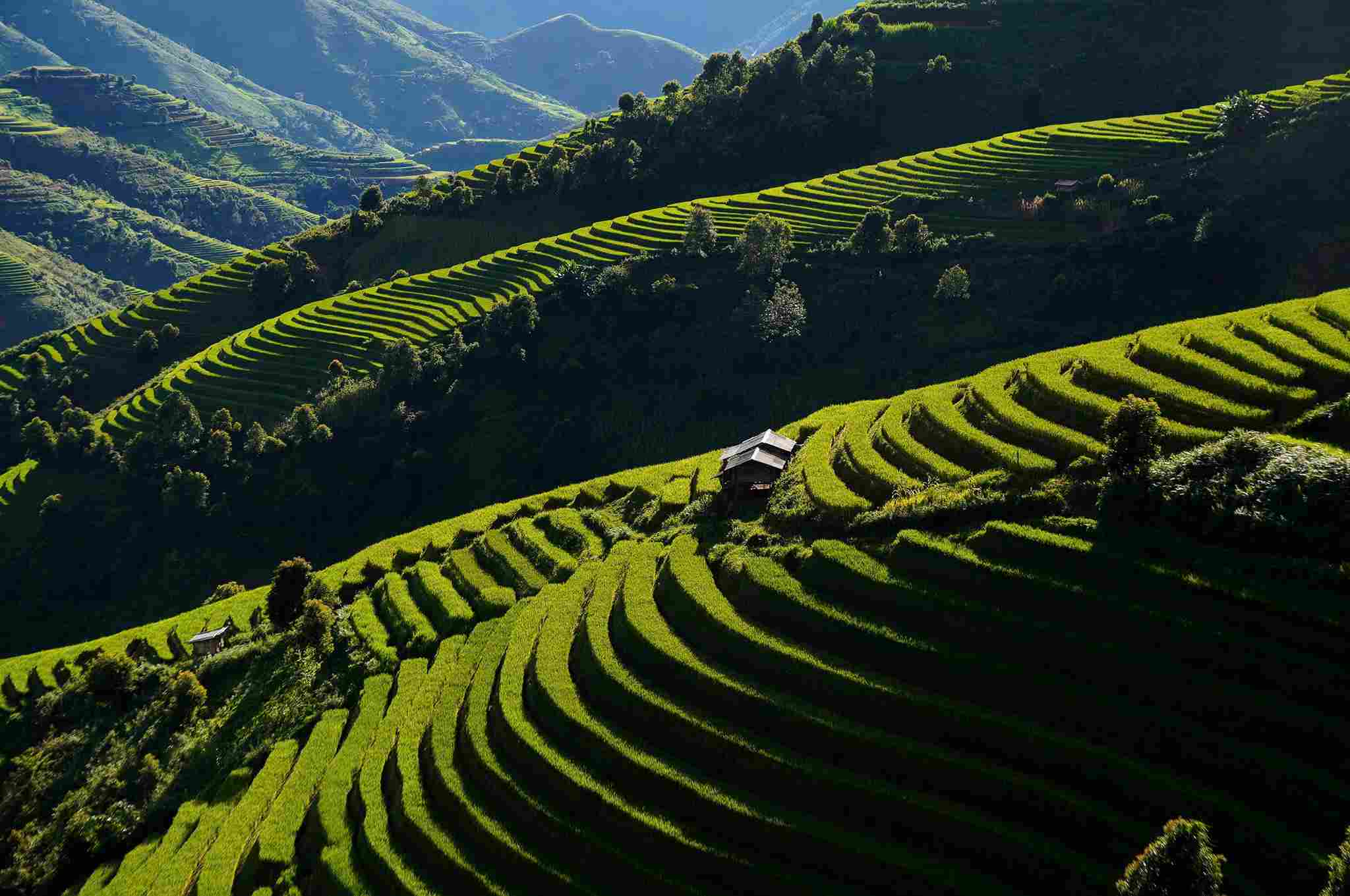 Xim Vang cung co nhung ruong mam xoi gan giong nhu o Mu Cang Chai. Anh: Thanh Nam