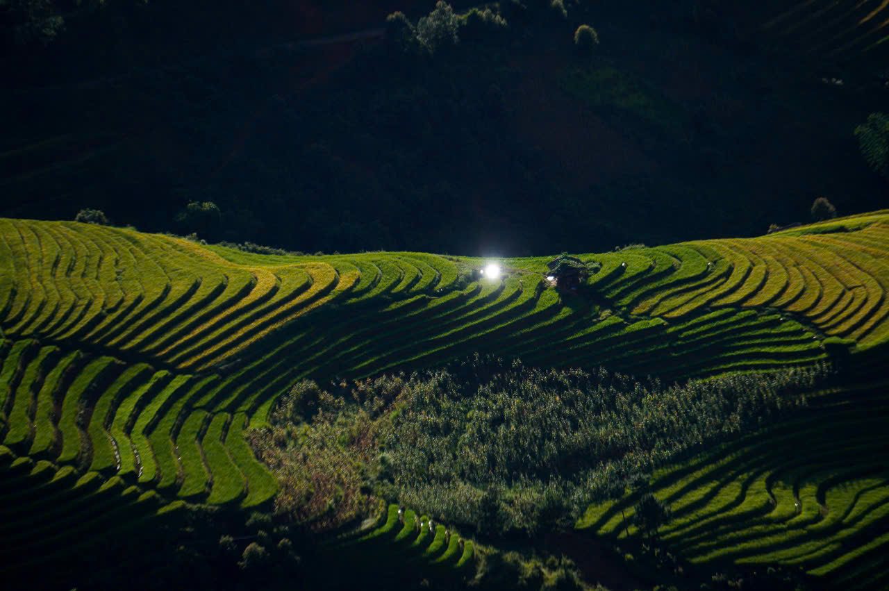 “Mùa vàng” ở Xím Vàng đẹp không kém những địa điểm nổi tiếng khác ở Tây Bắc. Ảnh: Thành Nam