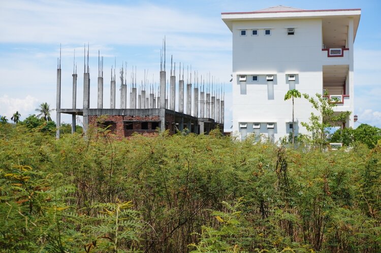 The project campus is overgrown with grass. Photo: Vien Nguyen