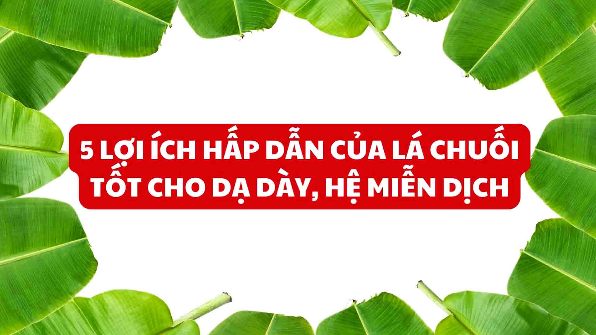 5 lợi ích hấp dẫn của lá chuối tốt cho dạ dày, hệ miễn dịch