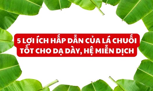 5 lợi ích hấp dẫn của lá chuối tốt cho dạ dày, hệ miễn dịch