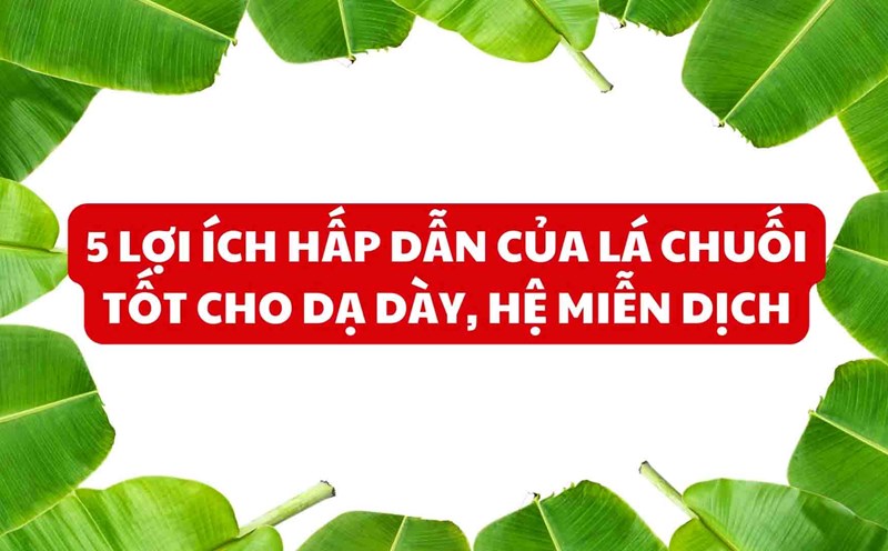 5 lợi ích hấp dẫn của lá chuối tốt cho dạ dày, hệ miễn dịch